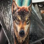 photo of wolf tattoo 27.11.2018 №160 - an example of a finished wolf tattoo - tattoovalue.net