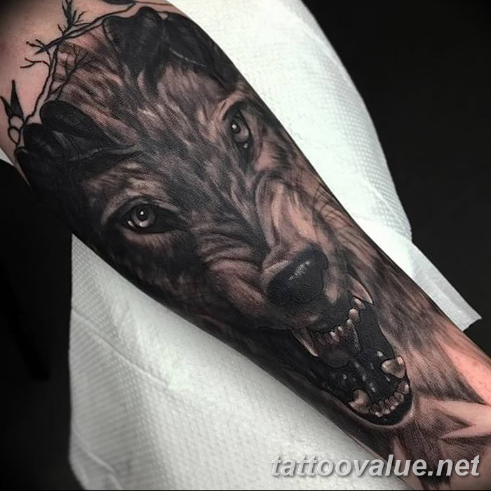photo of wolf tattoo 27.11.2018 №170 - an example of a finished wolf tattoo - tattoovalue.net