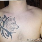 photo of wolf tattoo 27.11.2018 №175 - an example of a finished wolf tattoo - tattoovalue.net