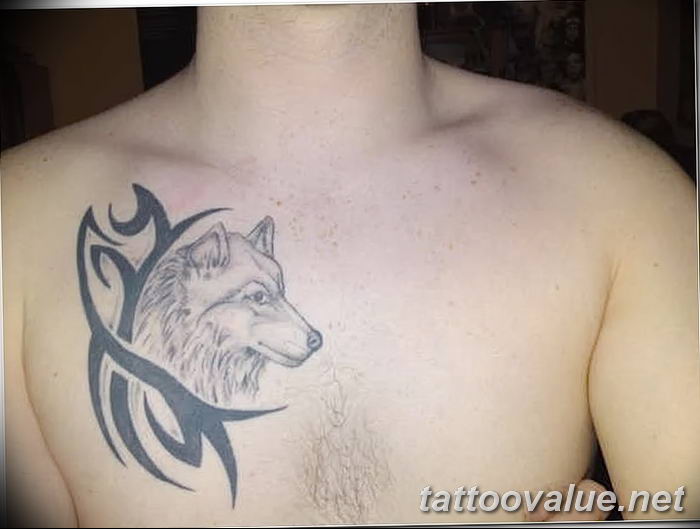 photo of wolf tattoo 27.11.2018 №175 - an example of a finished wolf tattoo - tattoovalue.net