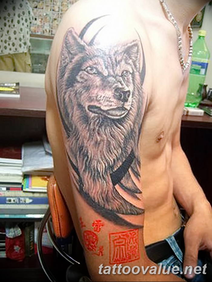 photo of wolf tattoo 27.11.2018 №176 - an example of a finished wolf tattoo - tattoovalue.net