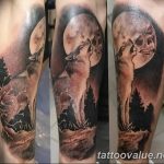photo of wolf tattoo 27.11.2018 №178 - an example of a finished wolf tattoo - tattoovalue.net