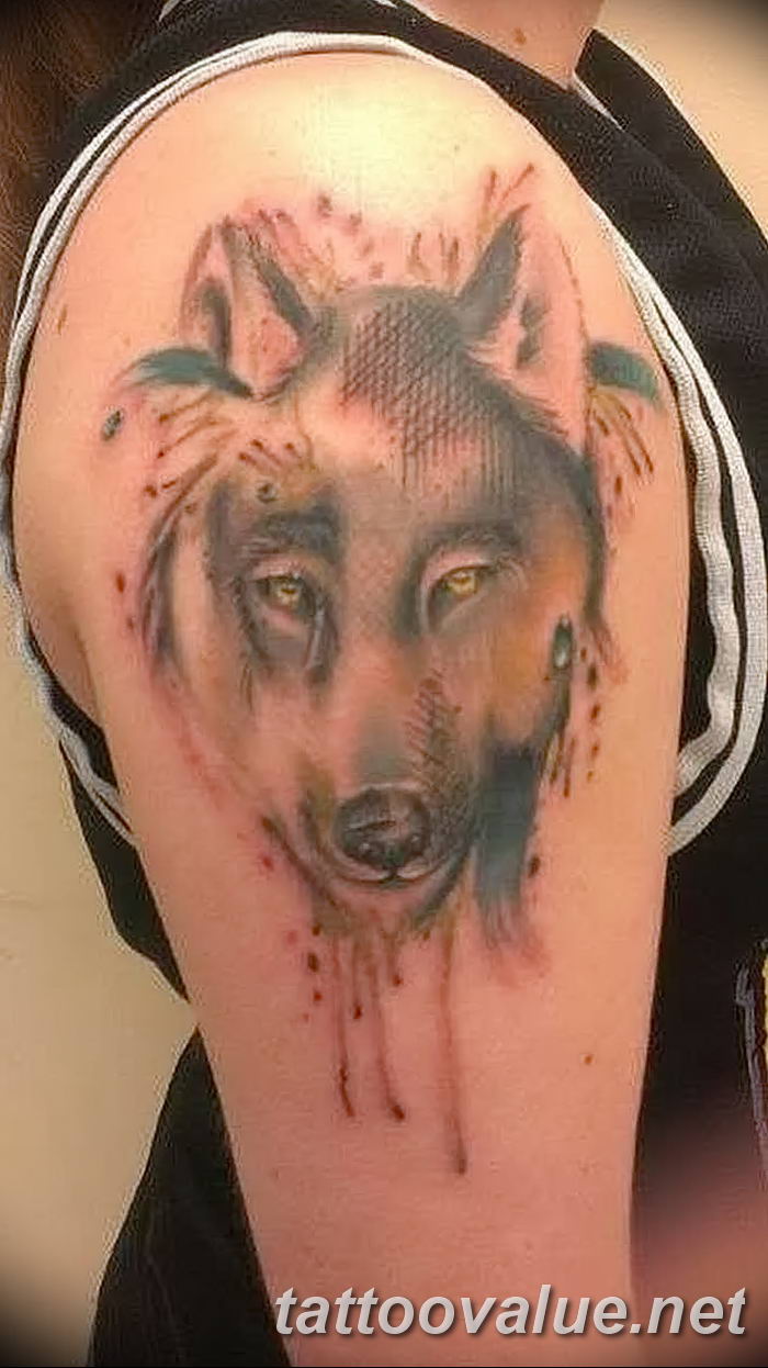 photo of wolf tattoo 27.11.2018 №186 - an example of a finished wolf tattoo - tattoovalue.net