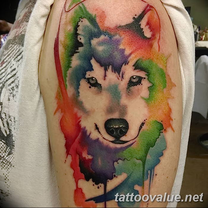 photo of wolf tattoo 27.11.2018 №190 - an example of a finished wolf tattoo - tattoovalue.net