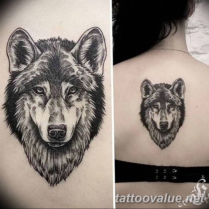 photo of wolf tattoo 27.11.2018 №197 - an example of a finished wolf tattoo - tattoovalue.net