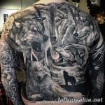 photo of wolf tattoo 27.11.2018 №198 - an example of a finished wolf tattoo - tattoovalue.net