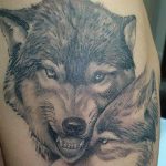 photo of wolf tattoo 27.11.2018 №202 - an example of a finished wolf tattoo - tattoovalue.net