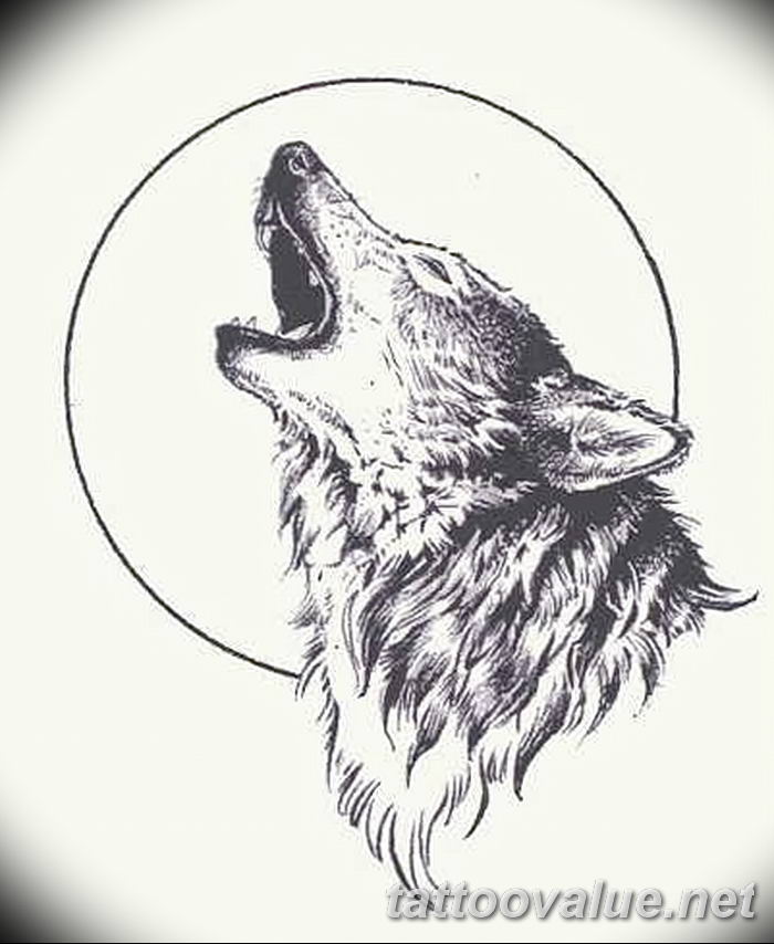 photo of wolf tattoo 27.11.2018 №205 - an example of a finished wolf tattoo - tattoovalue.net