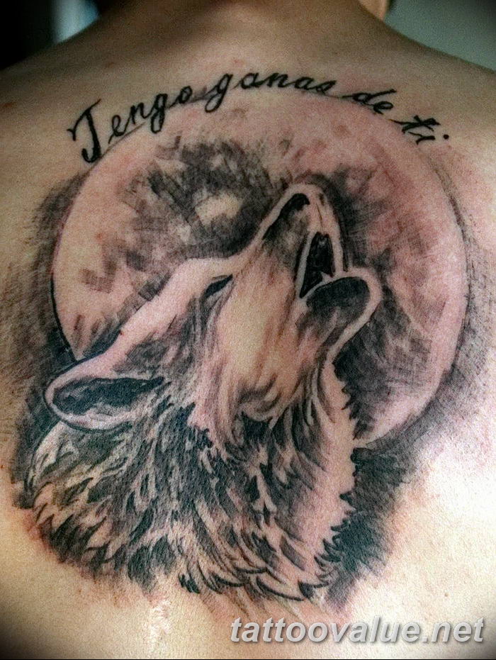 photo of wolf tattoo 27.11.2018 №207 - an example of a finished wolf tattoo - tattoovalue.net