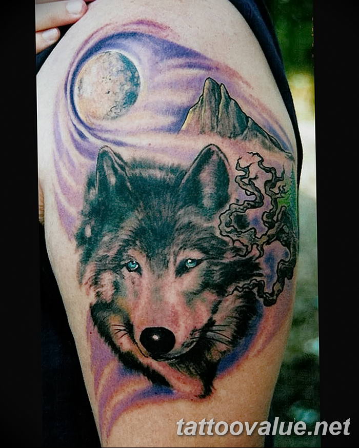 photo of wolf tattoo 27.11.2018 №209 - an example of a finished wolf tattoo - tattoovalue.net