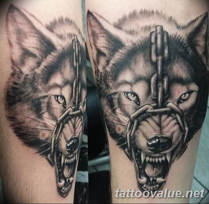 photo of wolf tattoo 27.11.2018 №210 - an example of a finished wolf tattoo - tattoovalue.net
