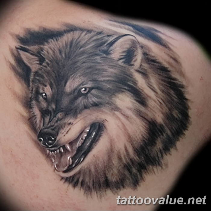 photo of wolf tattoo 27.11.2018 №220 - an example of a finished wolf tattoo - tattoovalue.net
