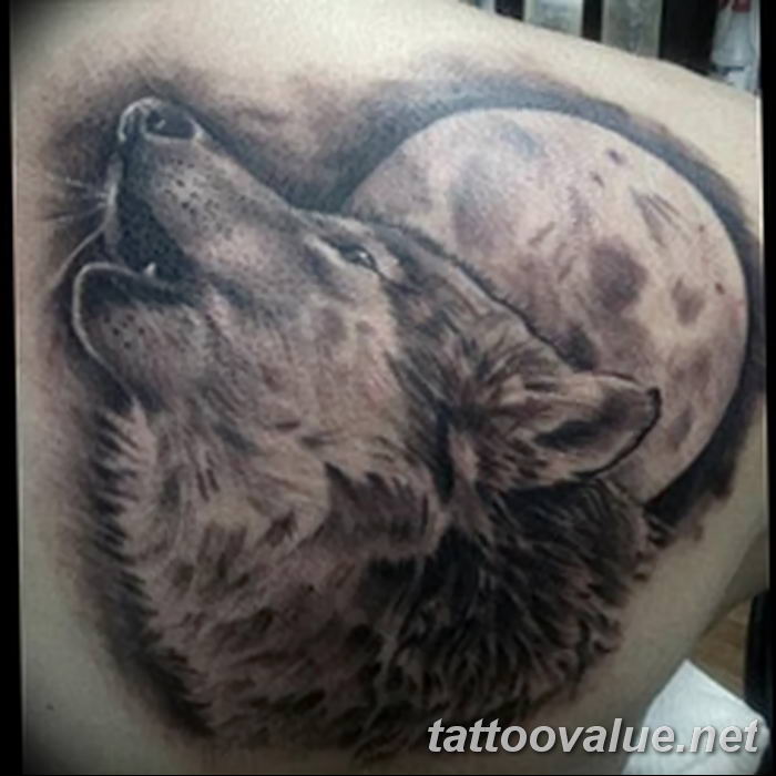 photo of wolf tattoo 27.11.2018 №221 - an example of a finished wolf tattoo - tattoovalue.net