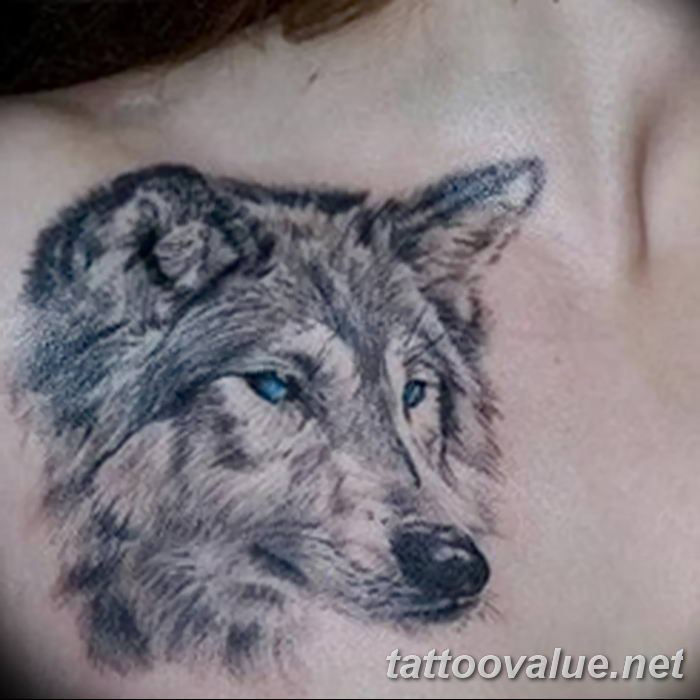 photo of wolf tattoo 27.11.2018 №222 - an example of a finished wolf tattoo - tattoovalue.net