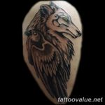 photo of wolf tattoo 27.11.2018 №224 - an example of a finished wolf tattoo - tattoovalue.net