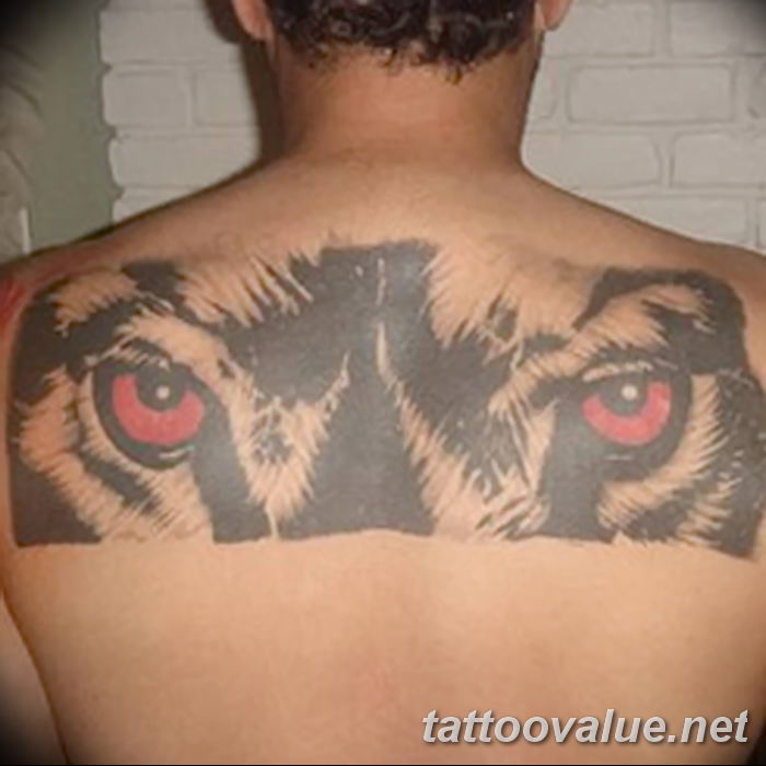 photo of wolf tattoo 27.11.2018 №226 - an example of a finished wolf tattoo - tattoovalue.net