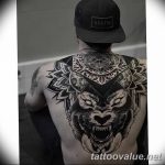 photo of wolf tattoo 27.11.2018 №228 - an example of a finished wolf tattoo - tattoovalue.net