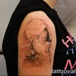 photo of wolf tattoo 27.11.2018 №233 - an example of a finished wolf tattoo - tattoovalue.net