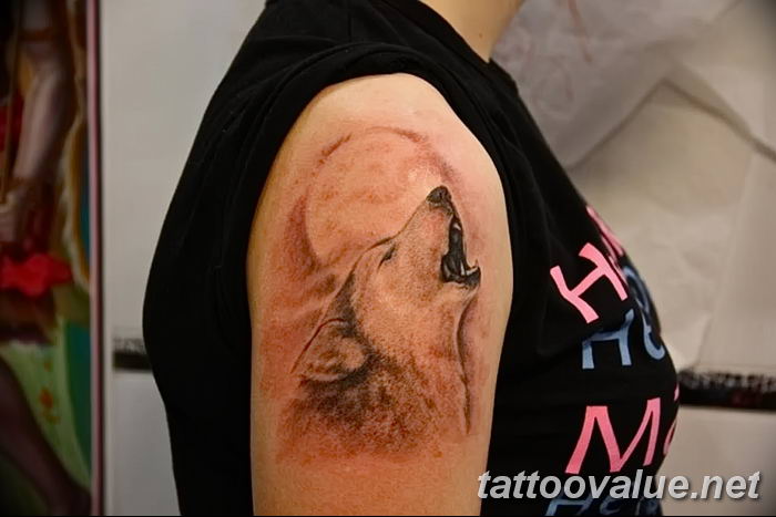 photo of wolf tattoo 27.11.2018 №233 - an example of a finished wolf tattoo - tattoovalue.net