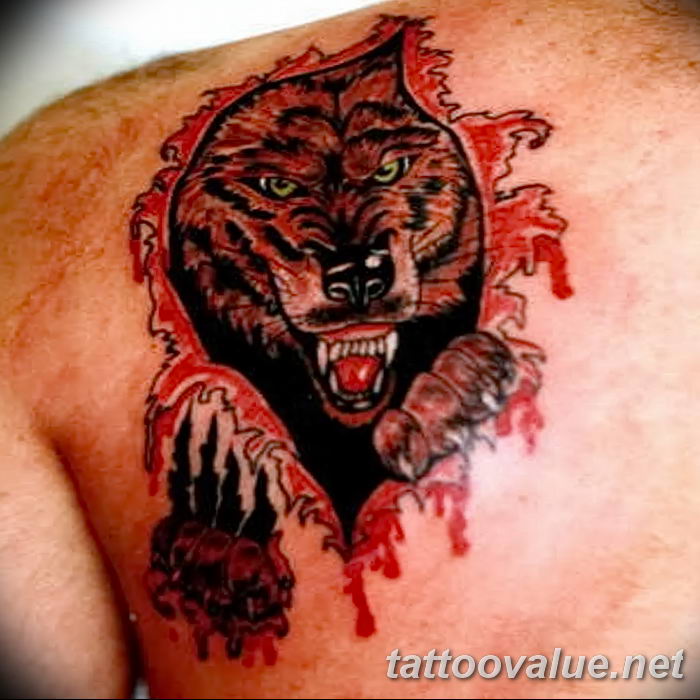photo of wolf tattoo 27.11.2018 №234 - an example of a finished wolf tattoo - tattoovalue.net