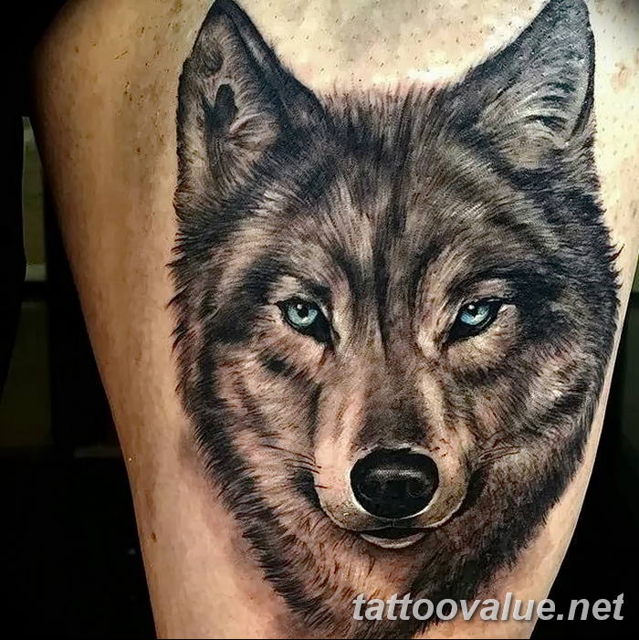 photo of wolf tattoo 27.11.2018 №236 - an example of a finished wolf tattoo - tattoovalue.net