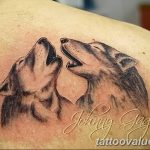 photo of wolf tattoo 27.11.2018 №243 - an example of a finished wolf tattoo - tattoovalue.net