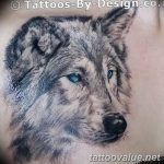 photo of wolf tattoo 27.11.2018 №245 - an example of a finished wolf tattoo - tattoovalue.net