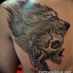 photo of wolf tattoo 27.11.2018 №256 - an example of a finished wolf tattoo - tattoovalue.net