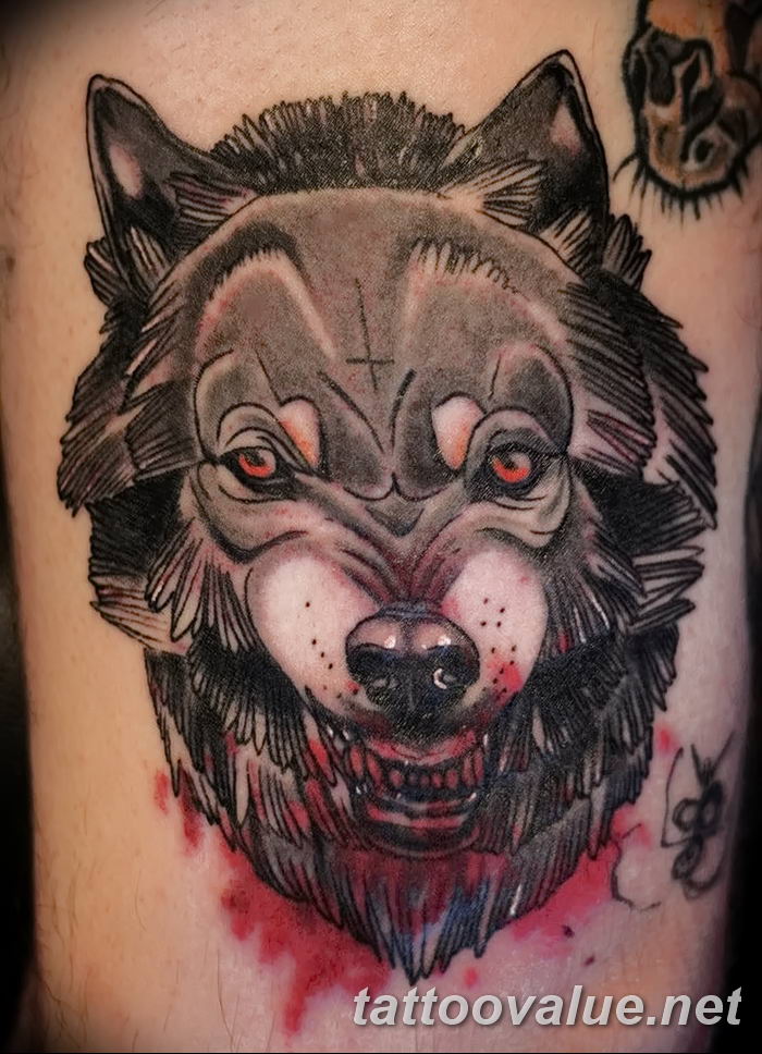 photo of wolf tattoo 27.11.2018 №259 - an example of a finished wolf tattoo - tattoovalue.net