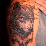 photo of wolf tattoo 27.11.2018 №260 - an example of a finished wolf tattoo - tattoovalue.net