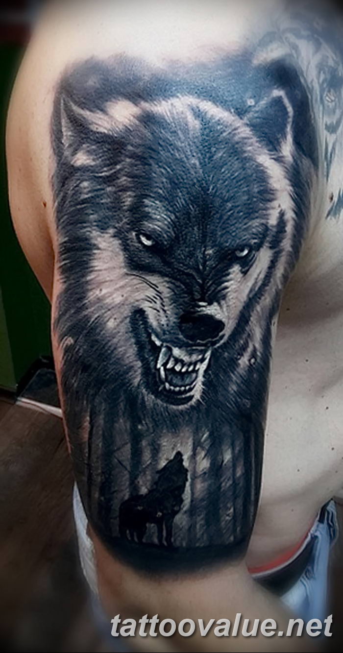 photo of wolf tattoo 27.11.2018 №264 - an example of a finished wolf tattoo - tattoovalue.net