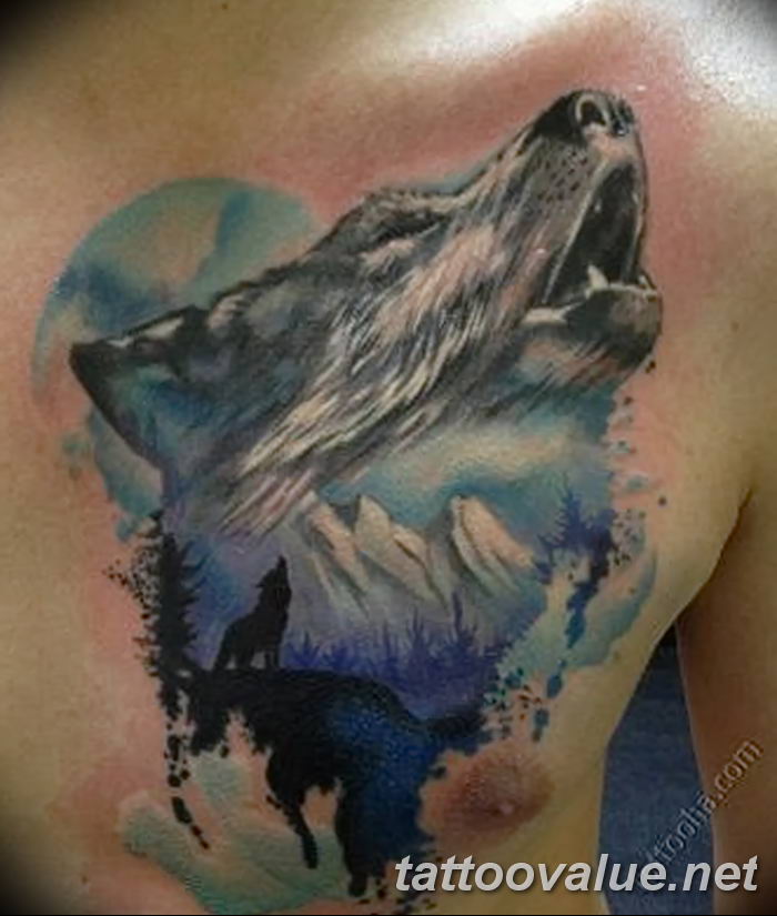 photo of wolf tattoo 27.11.2018 №265 - an example of a finished wolf tattoo - tattoovalue.net