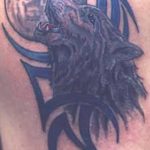 photo of wolf tattoo 27.11.2018 №266 - an example of a finished wolf tattoo - tattoovalue.net