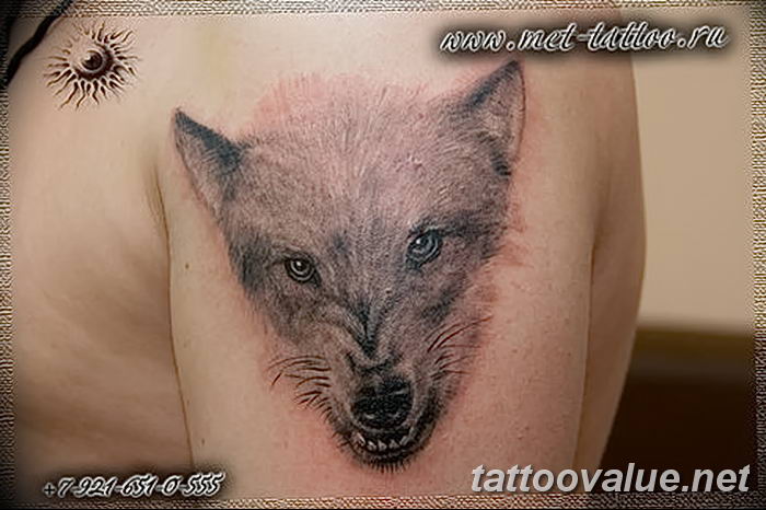 photo of wolf tattoo 27.11.2018 №268 - an example of a finished wolf tattoo - tattoovalue.net