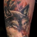 photo of wolf tattoo 27.11.2018 №272 - an example of a finished wolf tattoo - tattoovalue.net