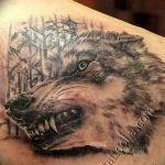 photo of wolf tattoo 27.11.2018 №273 - an example of a finished wolf tattoo - tattoovalue.net