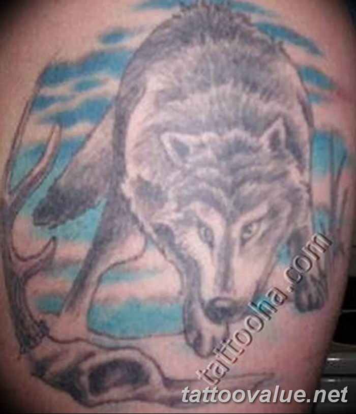 photo of wolf tattoo 27.11.2018 №274 - an example of a finished wolf tattoo - tattoovalue.net