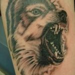 photo of wolf tattoo 27.11.2018 №278 - an example of a finished wolf tattoo - tattoovalue.net