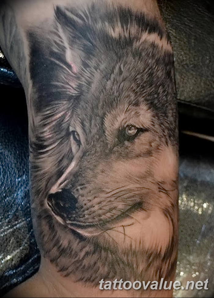 photo of wolf tattoo 27.11.2018 №280 - an example of a finished wolf tattoo - tattoovalue.net
