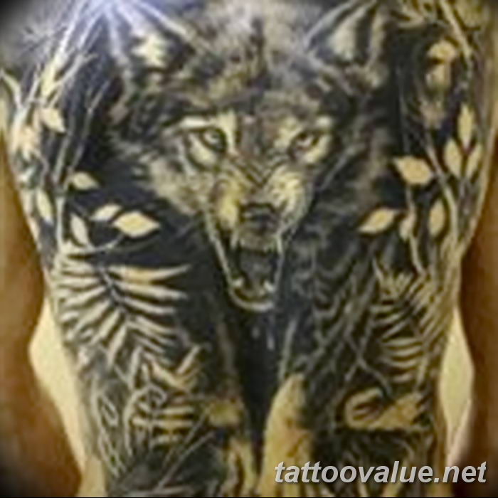 photo of wolf tattoo 27.11.2018 №281 - an example of a finished wolf tattoo - tattoovalue.net