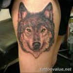 photo of wolf tattoo 27.11.2018 №282 - an example of a finished wolf tattoo - tattoovalue.net