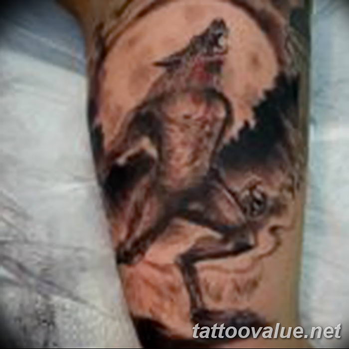 photo of wolf tattoo 27.11.2018 №283 - an example of a finished wolf tattoo - tattoovalue.net