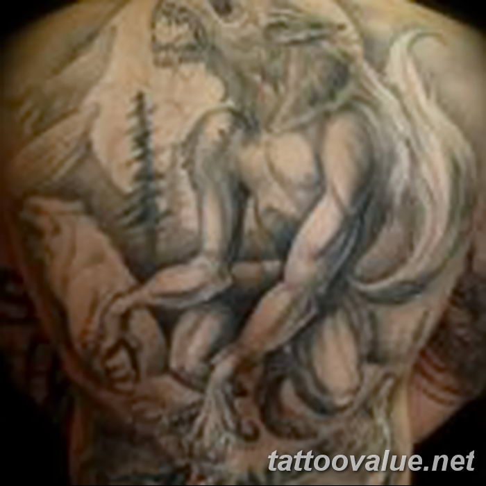 photo of wolf tattoo 27.11.2018 №284 - an example of a finished wolf tattoo - tattoovalue.net
