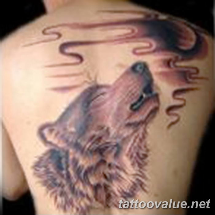 photo of wolf tattoo 27.11.2018 №285 - an example of a finished wolf tattoo - tattoovalue.net