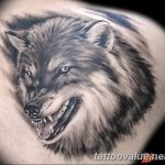 photo of wolf tattoo 27.11.2018 №294 - an example of a finished wolf tattoo - tattoovalue.net