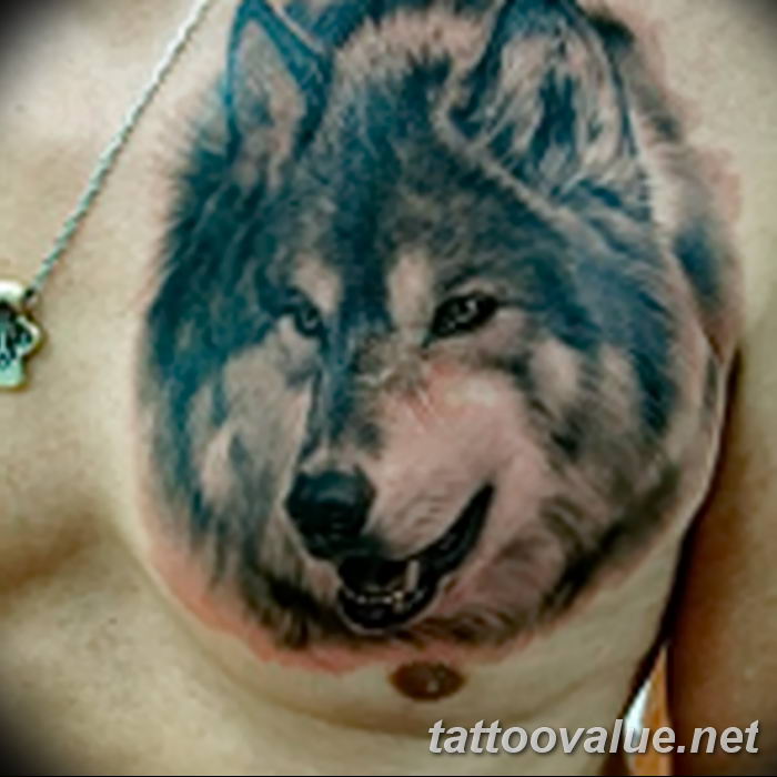 photo of wolf tattoo 27.11.2018 №295 - an example of a finished wolf tattoo - tattoovalue.net