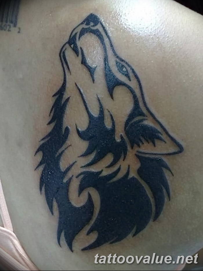 photo of wolf tattoo 27.11.2018 №296 - an example of a finished wolf tattoo - tattoovalue.net