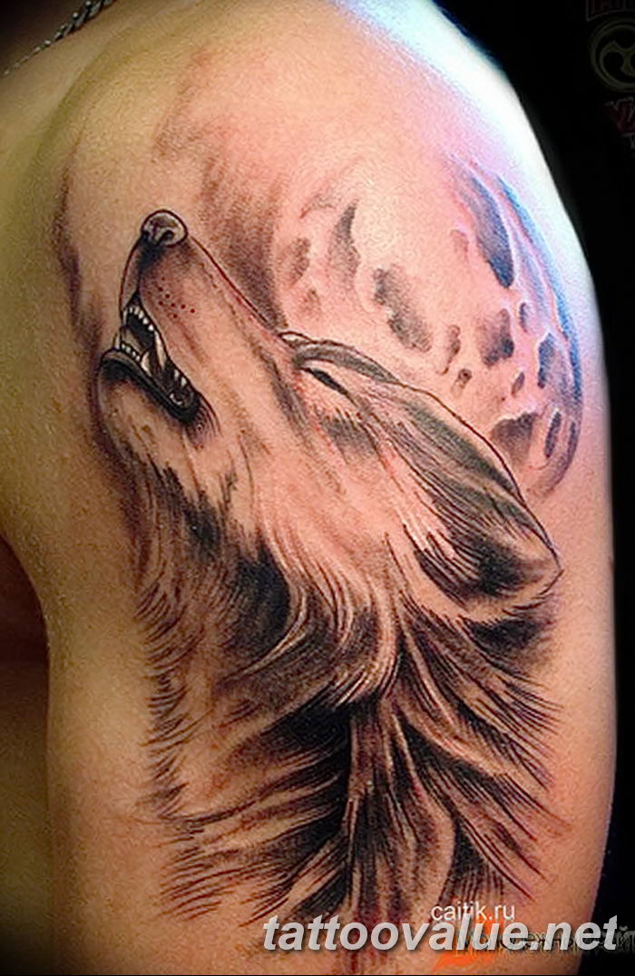photo of wolf tattoo 27.11.2018 №299 - an example of a finished wolf tattoo - tattoovalue.net
