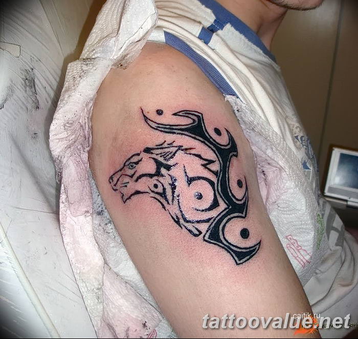 photo of wolf tattoo 27.11.2018 №301 - an example of a finished wolf tattoo - tattoovalue.net