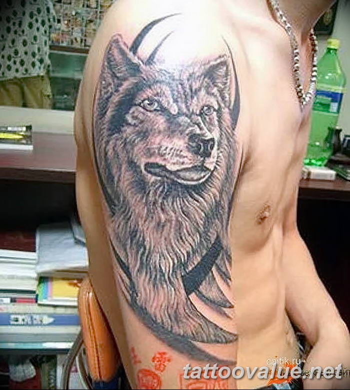 photo of wolf tattoo 27.11.2018 №302 - an example of a finished wolf tattoo - tattoovalue.net